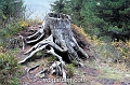 wbgarden alps 82